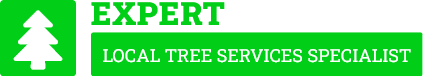 Papakura Tree Removal - Tree Removal Auckland